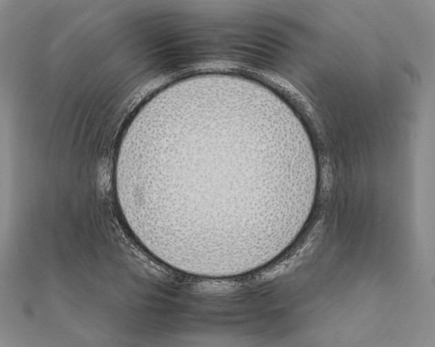 X0000111190929200908121044