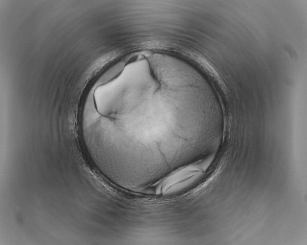 X0000111190930200908121044