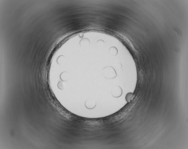 X0000111190931200908121044