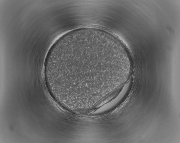 X0000111190932200908121044