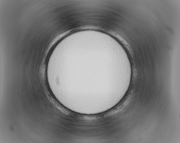 X0000111190933200908121044