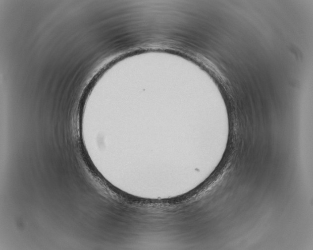 X0000111190934200908121044