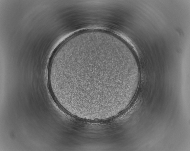X0000111190935200908121044