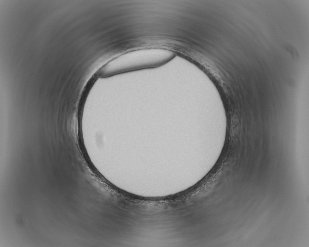 X0000111190936200908121044