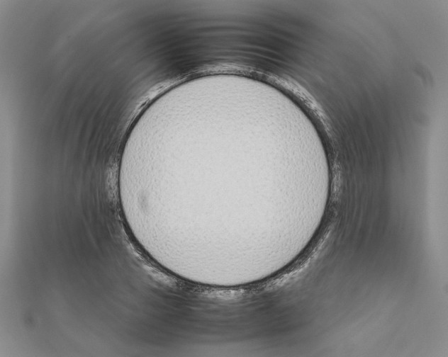 X0000111190937200908121044
