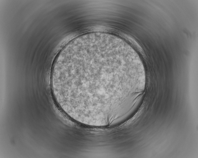 X0000111190938200908121044