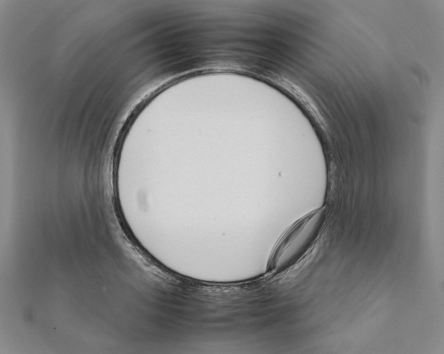 X0000111190939200908121044