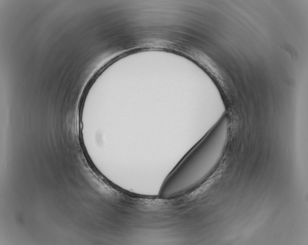 X0000111190940200908121044