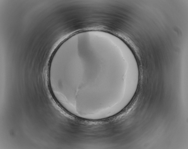 X0000111190941200908121044