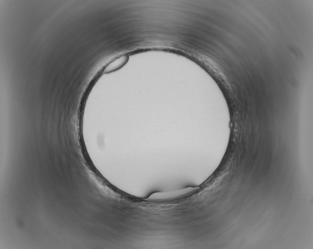 X0000111190942200908121044