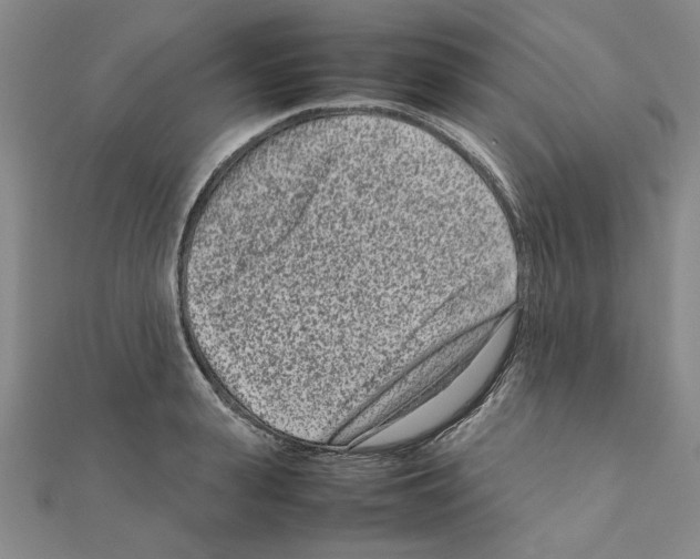 X0000111190943200908121044