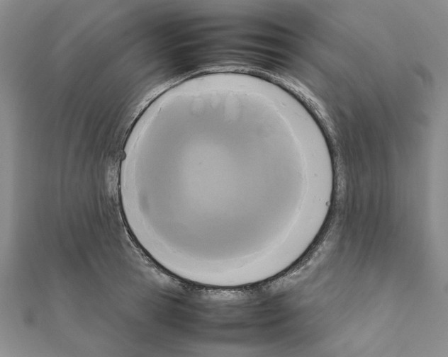 X0000111190945200908121044