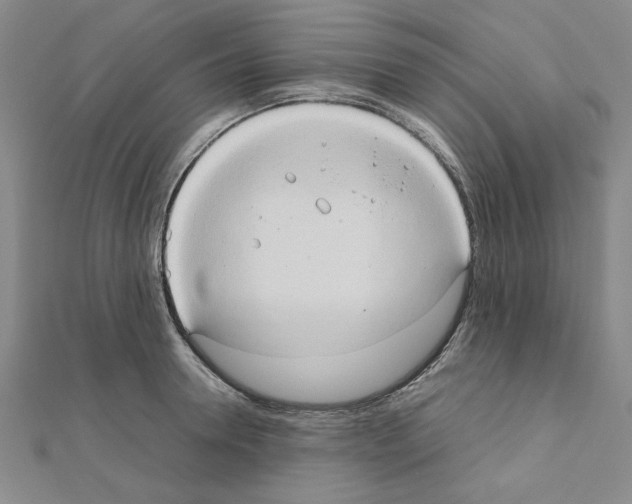 X0000111190946200908121044