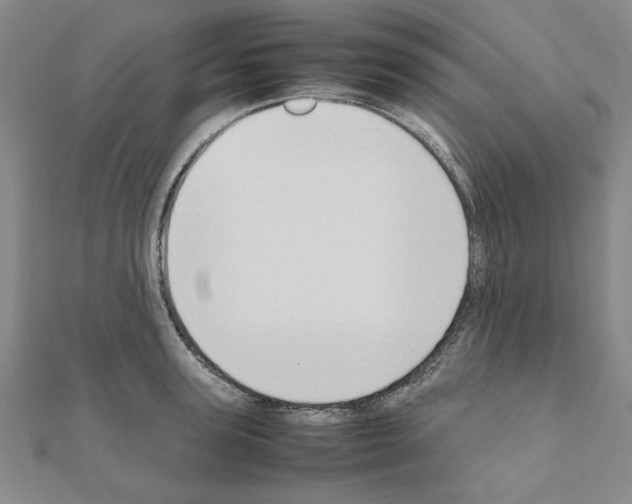 X0000111190947200908121044