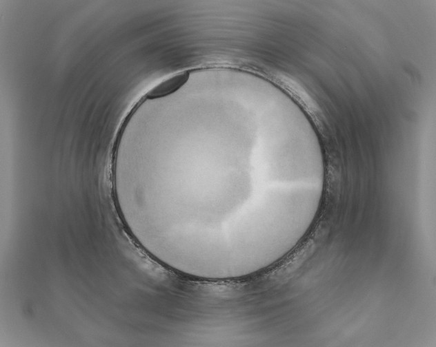 X0000111190948200908121044