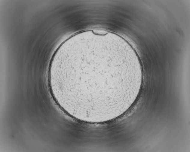 X0000111190949200908121044