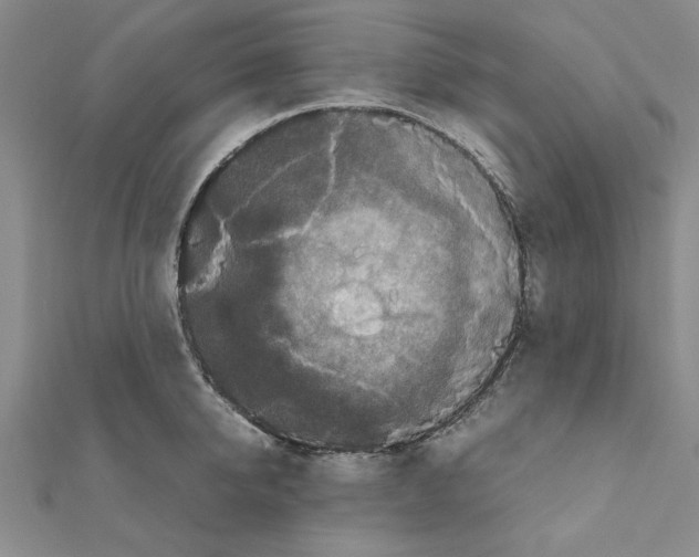 X0000111190950200908121044