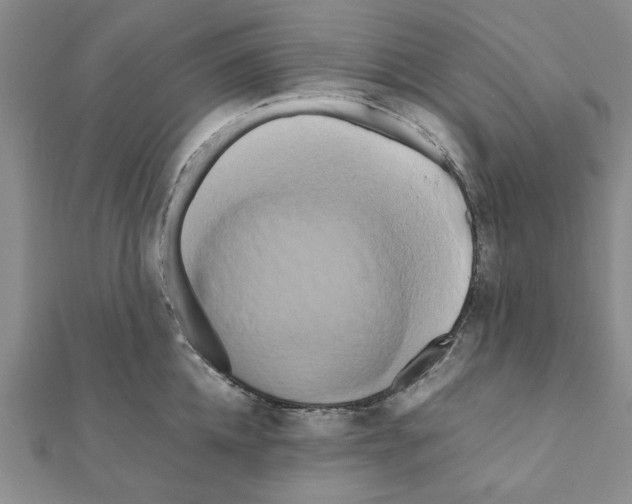X0000111190952200908121044