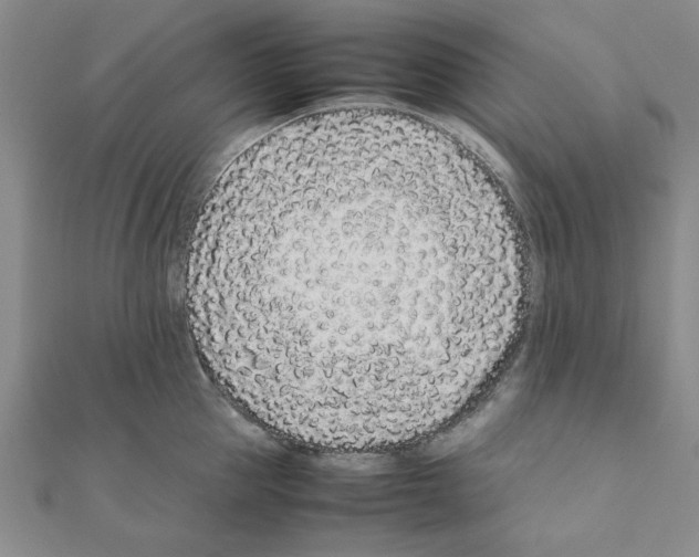 X0000111190953200908121044