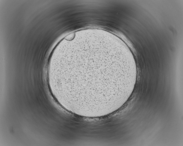 X0000111190955200908121044