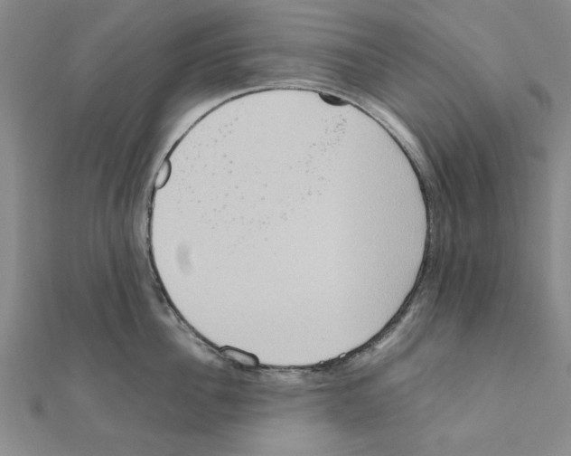 X0000111190956200908121044