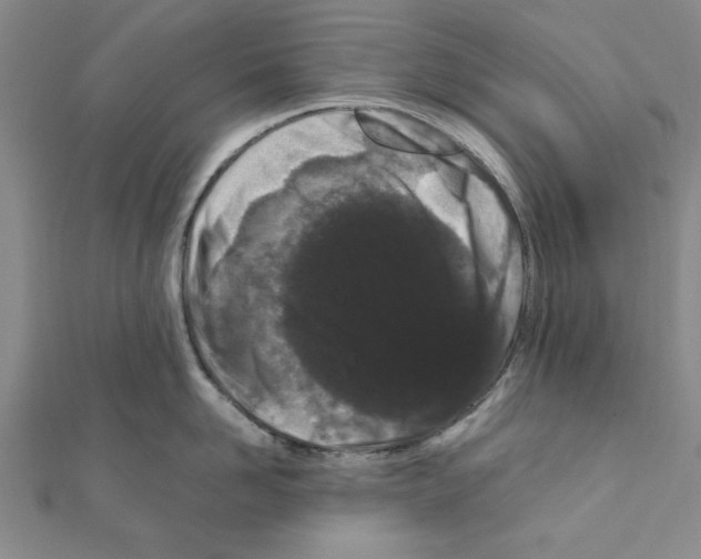 X0000111190958200908121044