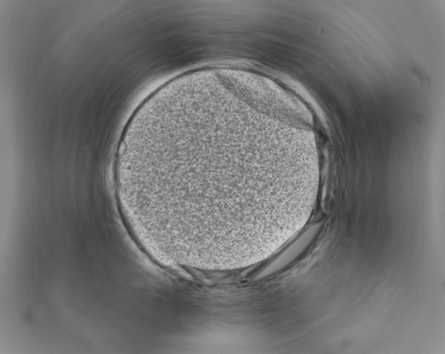 X0000111190959200908121044