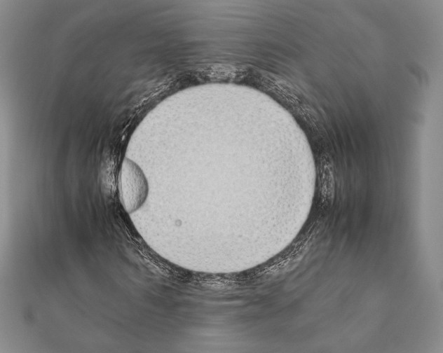 X0000111190962200908121044