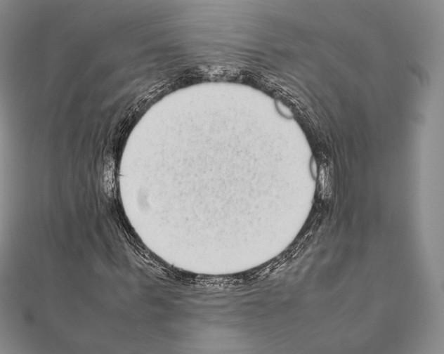 X0000111190963200908121044