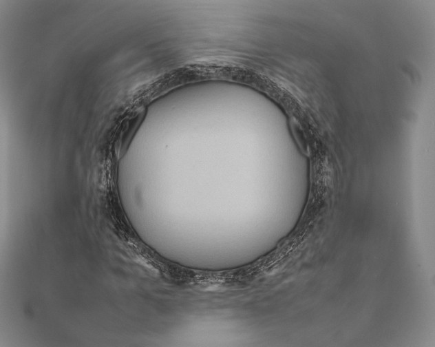 X0000111190965200908121044