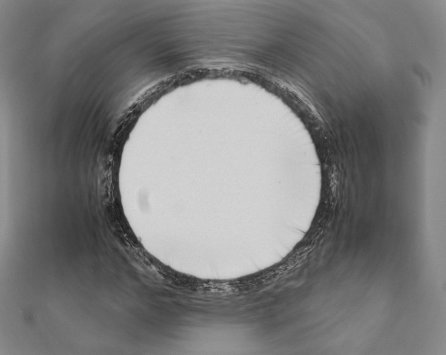 X0000111190968200908121044