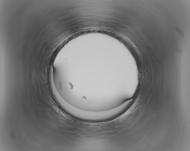 X0000111190969200908121044