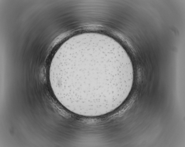 X0000111190970200908121044