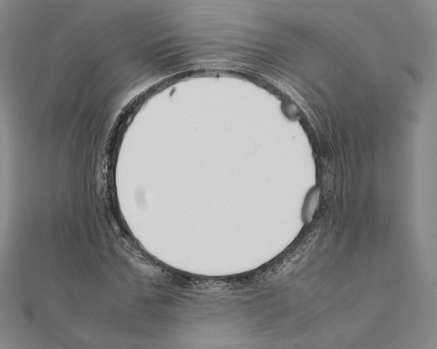 X0000111190971200908121044