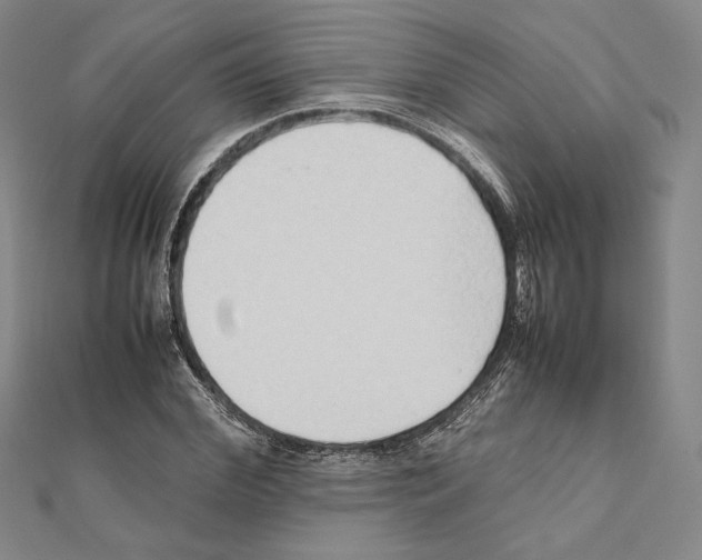 X0000111190972200908121044