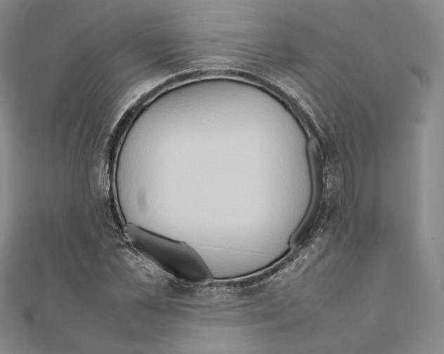 X0000111190973200908121044