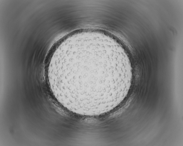 X0000111190974200908121044
