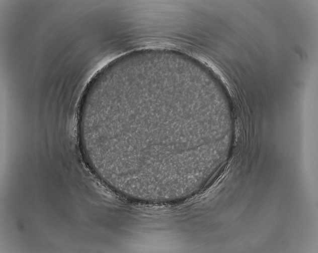 X0000111190975200908121044