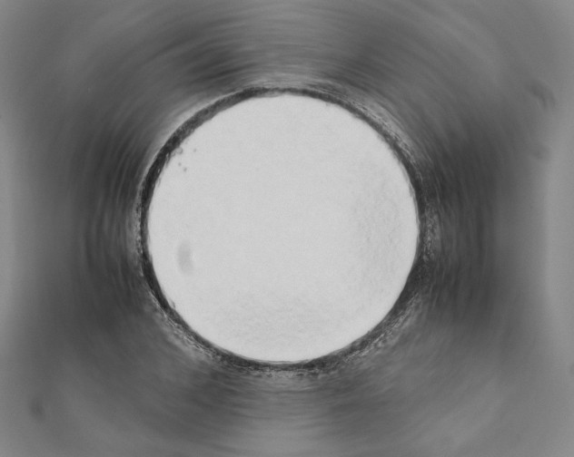 X0000111190976200908121044