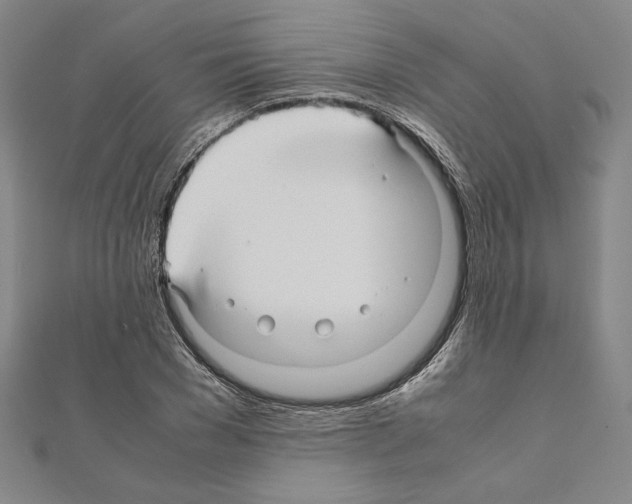 X0000111190977200908121043