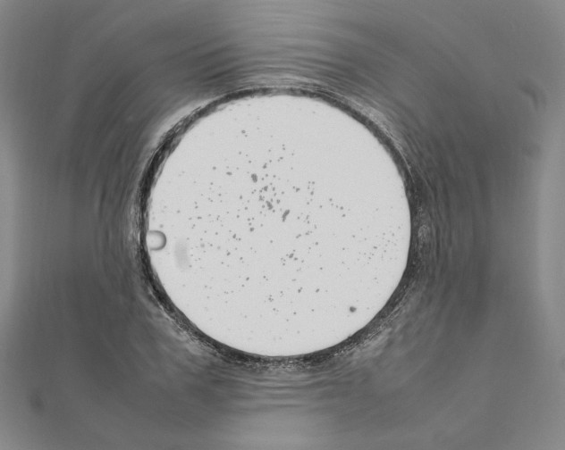 X0000111190979200908121043