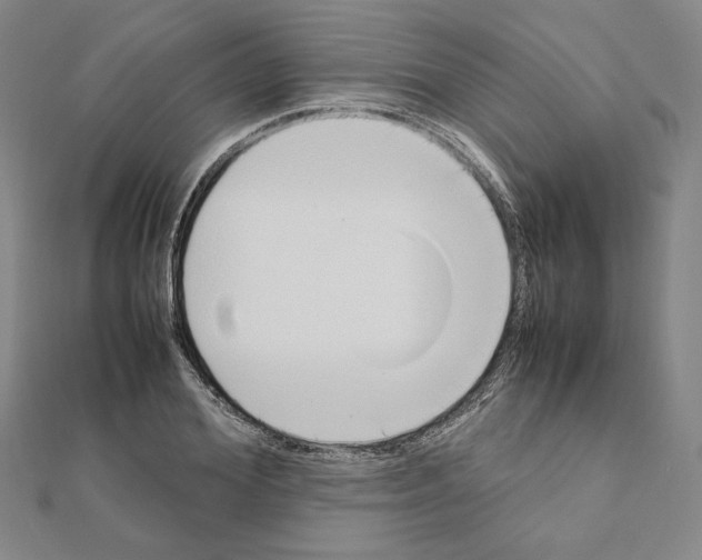 X0000111190980200908121043