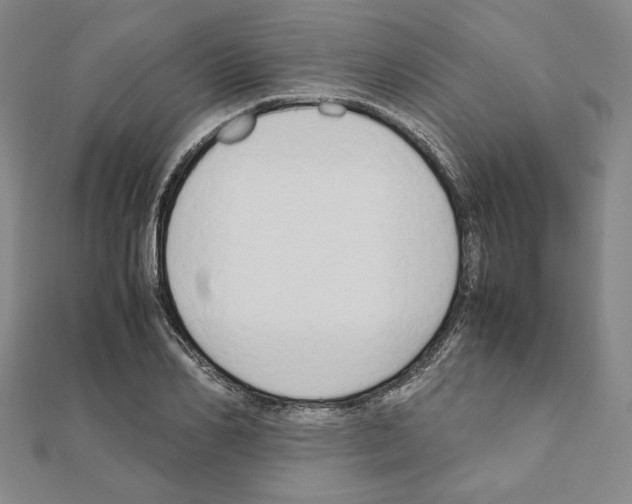 X0000111190982200908121043
