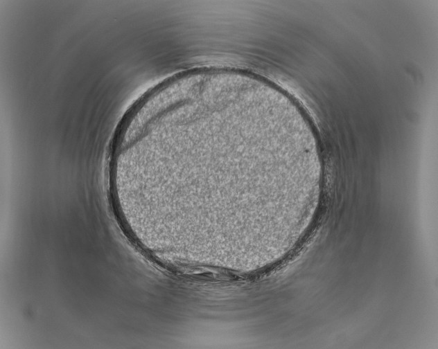 X0000111190983200908121043