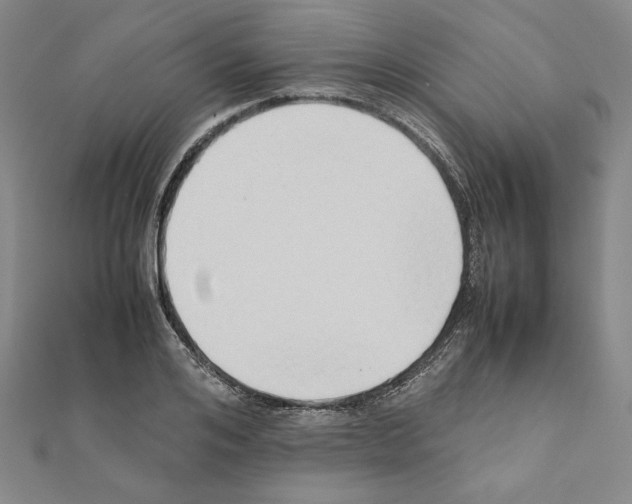 X0000111190984200908121043