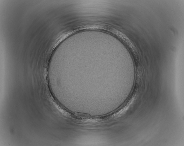X0000111190985200908121043