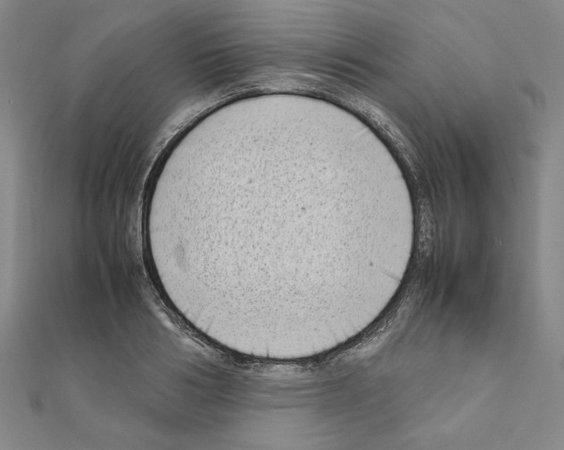 X0000111190986200908121043