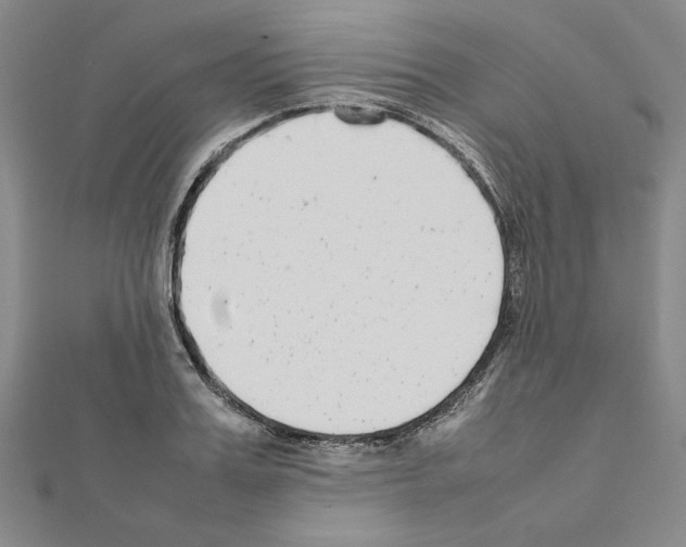 X0000111190987200908121043