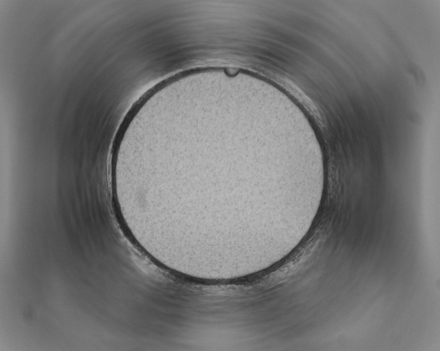 X0000111190988200908121043