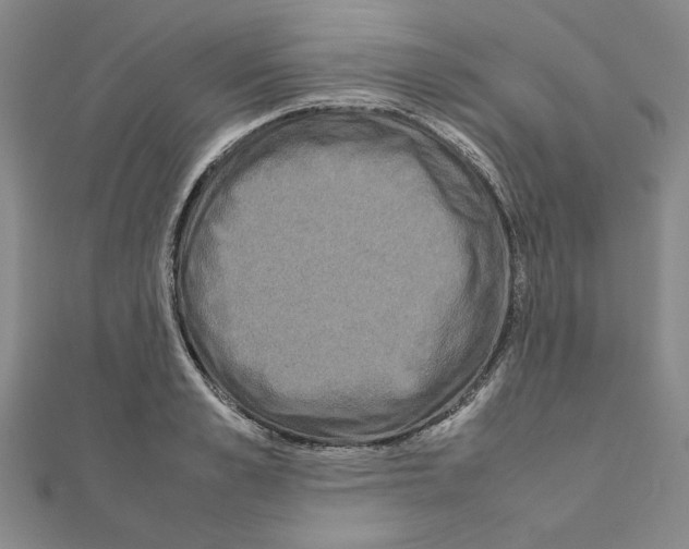X0000111190989200908121043
